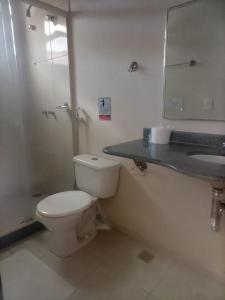 阿布拉昂的住宿－Pousada Cavalo Marinho Anexo，一间带卫生间、水槽和镜子的浴室
