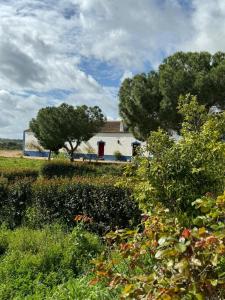 uma casa branca num campo com árvores e arbustos em Herdade das Pintas em Monforte