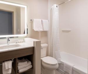 a bathroom with a sink and a toilet and a mirror at Holiday Inn Express & Suites Englewood - Denver South, an IHG Hotel in Englewood