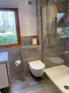 een badkamer met een douche, een toilet en een wastafel bij Cairngorm Lodge Rothiemurchus in Aviemore