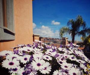 a bunch of purple and white flowers in front of a building at Villa Hirschen in Zafferana Etnea