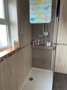 a bathroom with a shower with a bath tub at Adrigoole in Waterford