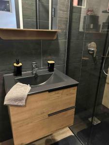 ein Bad mit einem Waschbecken und einer Dusche in der Unterkunft Studio industriel loft neuf avec parking privé in Reichstett