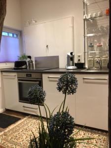 a kitchen with white cabinets and a counter top at Cottage in Nüchel