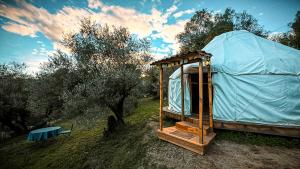 Příroda nedaleko luxury tent