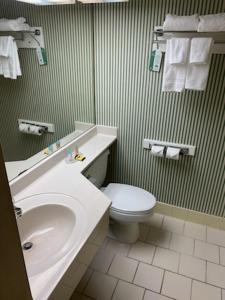 a bathroom with a sink and a toilet at Barclay Hotel Atlanta Downtown in Atlanta