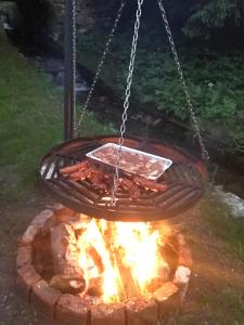 - un barbecue au-dessus d'un feu dans la cour dans l'établissement Przystań! Rzeczka, à Rzeczka