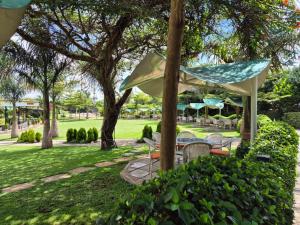 Zahrada ubytování Asyana Gardens