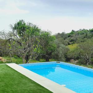 a blue swimming pool in the grass with trees at Quinta das Pedras - Tavira in Tavira