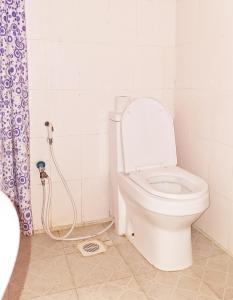 ein Bad mit einem WC und einem Duschvorhang in der Unterkunft Meru Farm House in Arusha