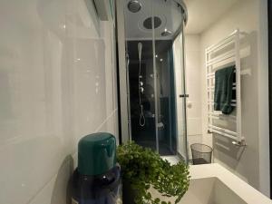 a bathroom with a sink and a mirror at Hanendorper Hoeve - gastenhuisje bij monumentale boerderij in Emst +6 photos