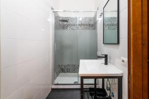ローマにあるGianicolense Apartmentの白いバスルーム(シャワー、シンク付)