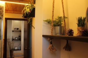 a room with a shelf with plants on it at Tenuta SGB - Il profumo del vino Etna Nicolosi in Nicolosi
