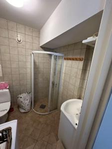 een badkamer met een douche, een toilet en een wastafel bij Lite hus til leie sommeren 2024 in Arendal