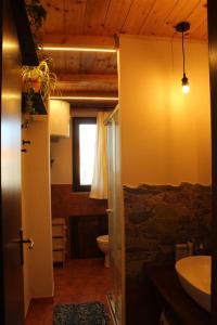 尼科洛西的住宿－Tenuta SGB - Il profumo del vino Etna Nicolosi，一间带水槽和卫生间的浴室