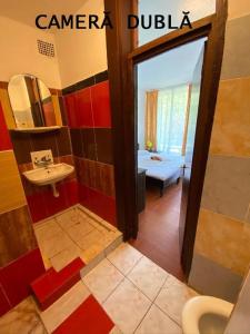 La salle de bains est pourvue de toilettes, d'un lavabo et d'un miroir. dans l'établissement Complex Mamaia - HISTRIA, à Mamaia
