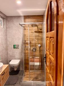 La salle de bains est pourvue de toilettes et d'une douche en verre. dans l'établissement Sencer Apart, à Marmaris