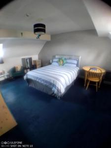 a bedroom with a bed with a blue carpet at Snowdon House Single rooms for solo travellers in Rhyl