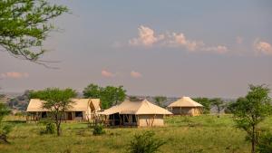 un grupo de tiendas de campaña en un campo con árboles en Serengeti Malaika Luxury Camp, en Parque Nacional del Serengeti