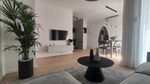 Televízia a/alebo spoločenská miestnosť v ubytovaní Apartman Spalatum
