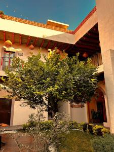 a tree in front of a building at Bito's Hotel Boutique in San Miguel de Allende