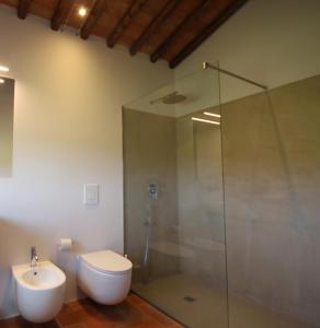 a bathroom with a shower and a toilet and a sink at Marrucheti 82 in Campagnatico