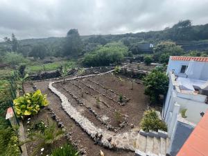 eine Aussicht auf einen Garten mit Pflanzen aus der Luft in der Unterkunft Casas Asomada in Tanque
