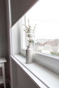格拉斯哥的住宿－Castlemilk House，花瓶坐在窗台上,植有植物