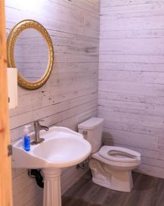 a bathroom with a toilet and a sink and a mirror at Homegrown Hideaway in Port Dover