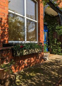 a window with plants on the side of a brick building at Number 18 in Whitby