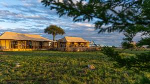 un edificio con tenda in un campo di Serengeti Malaika Luxury Camp al Parco Nazionale del Serengeti