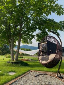 a swing hanging from a tree in a yard at Domaine Bless in Niki