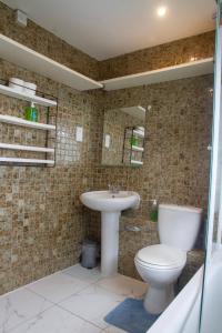 een badkamer met een toilet en een wastafel bij Spacious & bright 4-bedroom town-house with garden in Sydenham