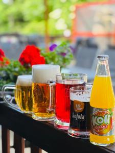 Hotel Jef a Krčma u Rytíře في Doubice: أربعة أنواع مختلفة من كؤوس البيرة على الطاولة