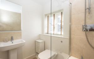 a bathroom with a shower and a toilet and a sink at Black Lion Court in Little Walsingham +6 photos
