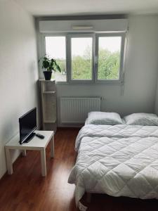 Schlafzimmer mit einem Bett und einem Schreibtisch mit einem Laptop in der Unterkunft T3 Strasbourg zénith in Straßburg