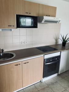 a kitchen with a sink and a stove top oven at T3 Strasbourg zénith in Strasbourg