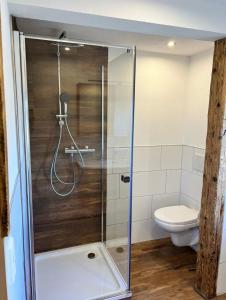 a bathroom with a shower with a toilet at Egger's Sonnenhof Thurn in Thurn