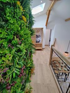 un pasillo con una pared verde con plantas en Le Tilleul et spa, en Bully