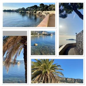a collage of photos of the water and a palm tree at Beaulieutiful City Center apartment in Beaulieu-sur-Mer