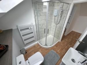 ein Bad mit einer Dusche, einem WC und einem Waschbecken in der Unterkunft Tankerton Beach Daze in Kent
