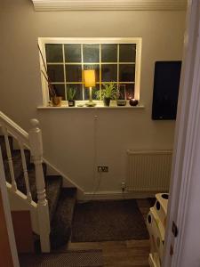 a staircase with a window with potted plants and a lamp at Convenient Luton Rooms in Luton