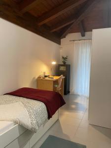 een slaapkamer met een bed en een bureau bij B&B Stari Mlin - Vecchio Mulino in San Giorgio