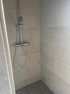 eine Dusche mit Duschkopf im Bad in der Unterkunft Le Rucher Mirabelle in Coeuve
