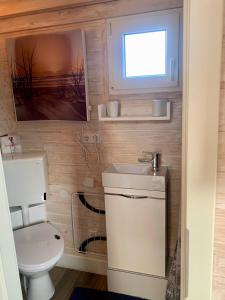 een kleine badkamer met een toilet en een wastafel bij Tinyhouse Bamberg in Pettstadt