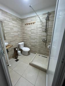 Şinca VecheにあるBârlogul Urșilorのトイレとガラスのシャワー付きのバスルーム