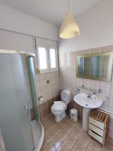 La salle de bains est pourvue de toilettes, d'un lavabo et d'une douche. dans l'établissement Philoxenia Apartments, à Plataria