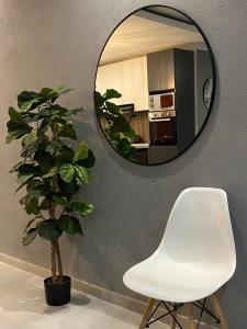 a mirror and a white chair and a plant at North Pole in Darkton