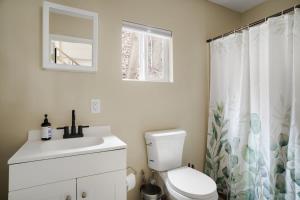 a bathroom with a toilet and a sink at Modern Mountain Cottage w Hot Tub, Fire Pit, WiFi in Inwood +17 photos