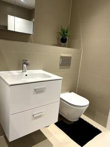 a bathroom with a white sink and a toilet at Spacious One Bedroom Apartment in Hemel Hempstead